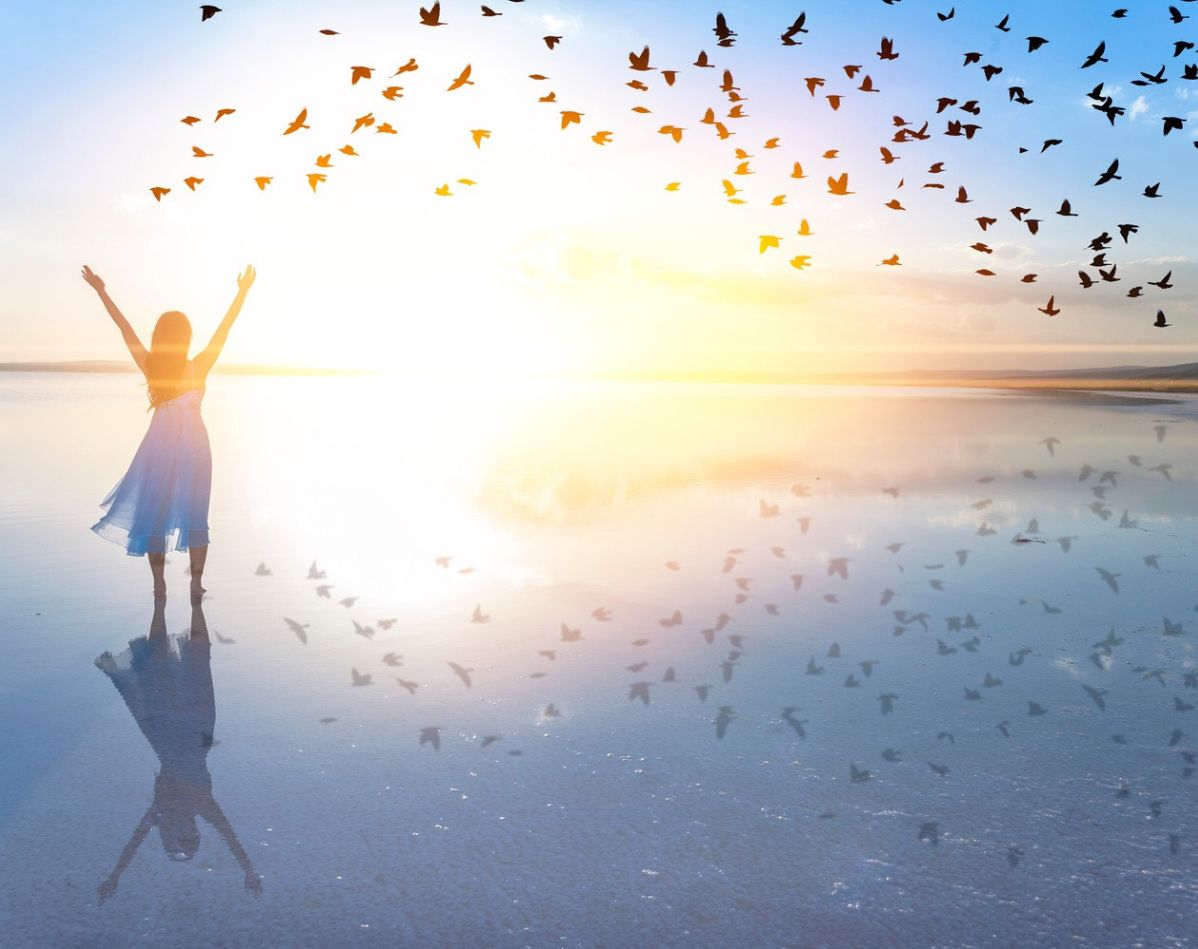 Harald Auer - Online Kurs Bewegung der Seele